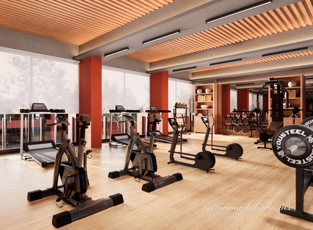 Mistral | Inversión y estilo frente al mar