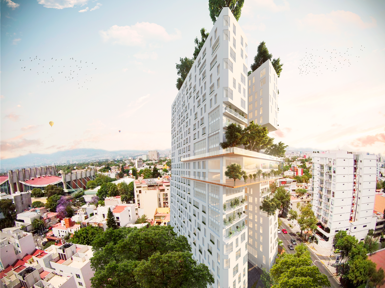 Único Coyoacán CDMX