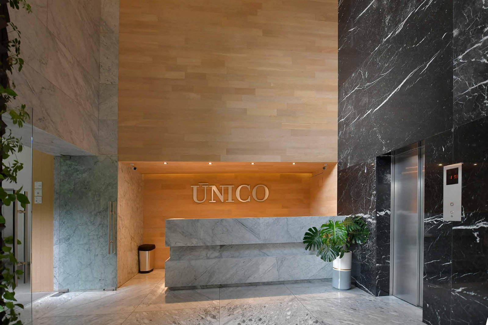 Único Coyoacán CDMX