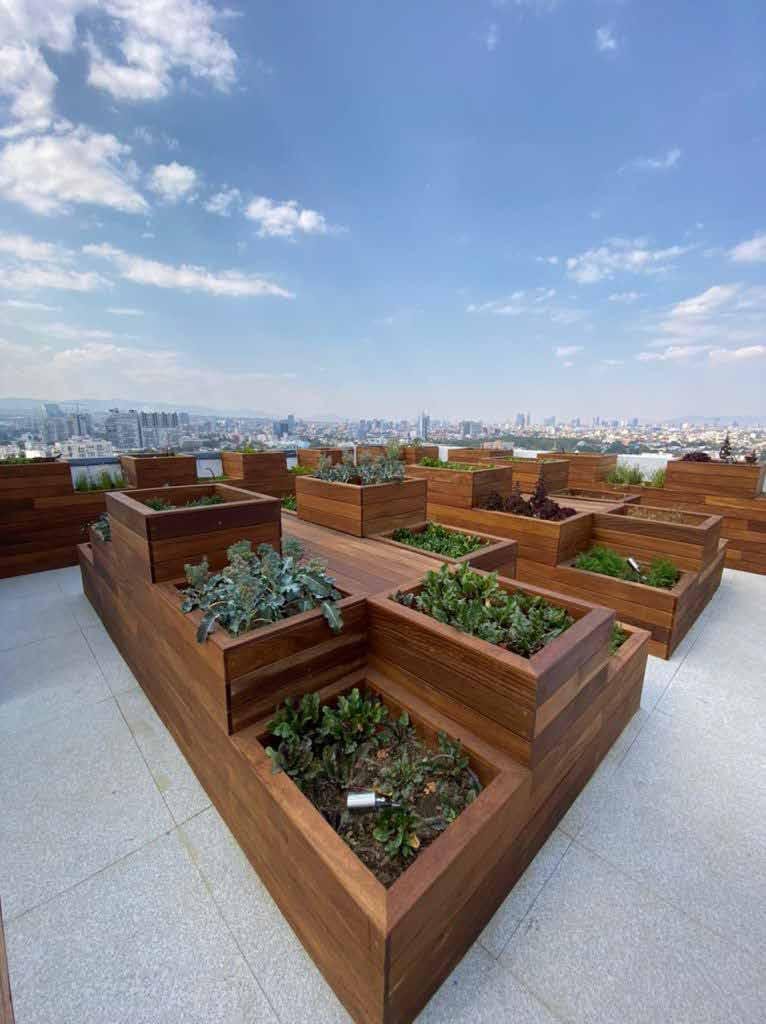 Único Coyoacán CDMX